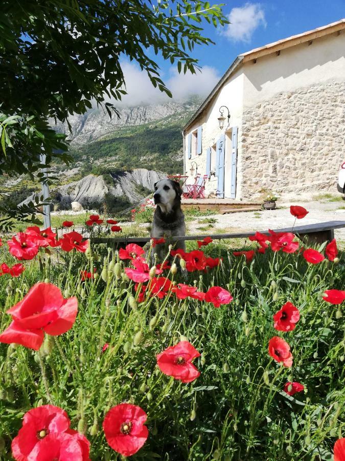 Gaia, Maison D'Hotes Verdon, Vue Feerique Blieux Zewnętrze zdjęcie